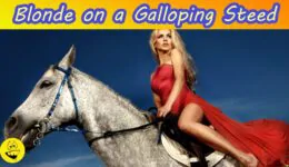 Funny Joke: Blonde on a Galloping Steed