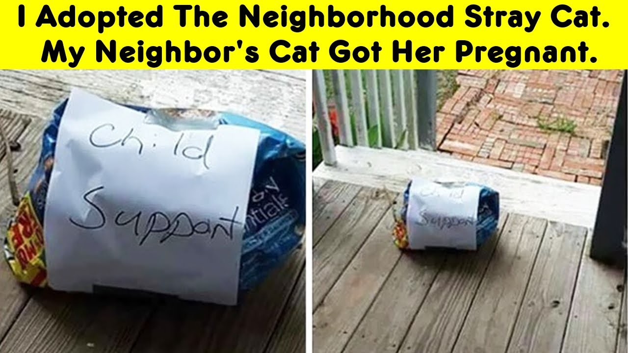 Neighbors Who Made The Neighborhood More Interesting