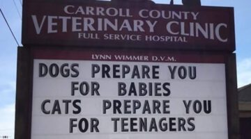 The Funniest Outdoor Signs From This Vet Clinic