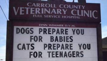 The Funniest Outdoor Signs From This Vet Clinic