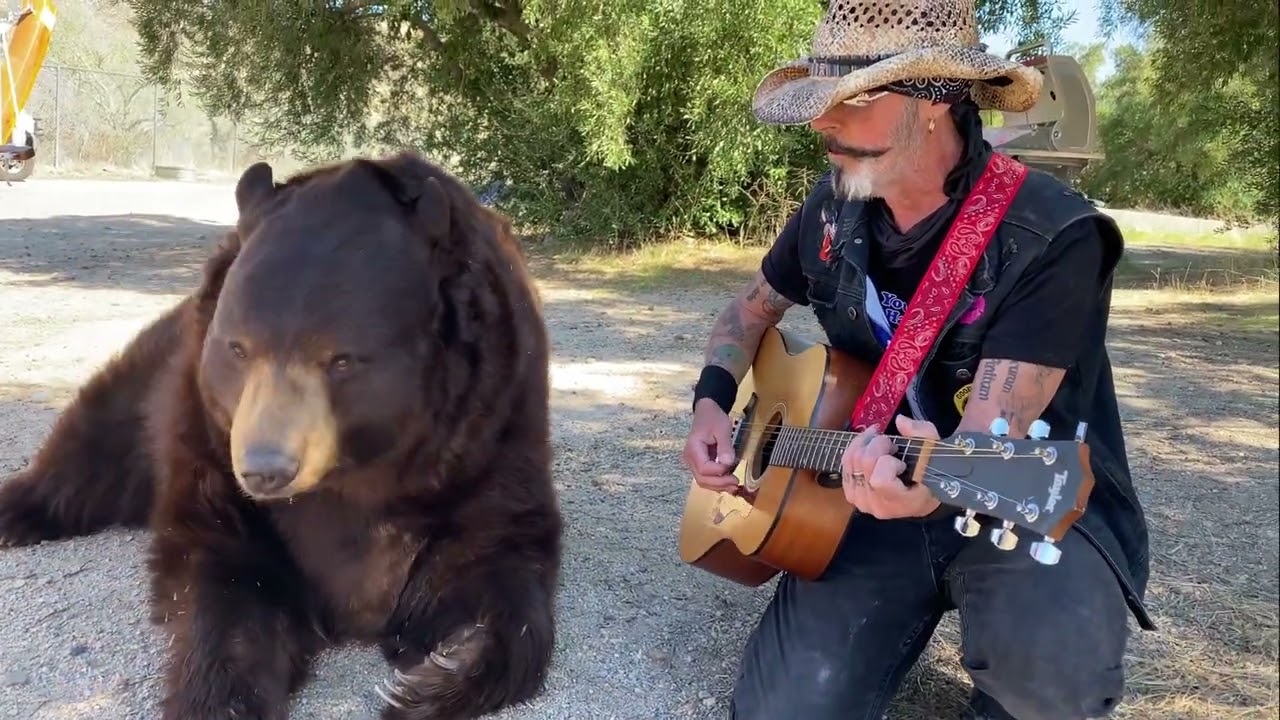 Animal Crackers Music for Animals