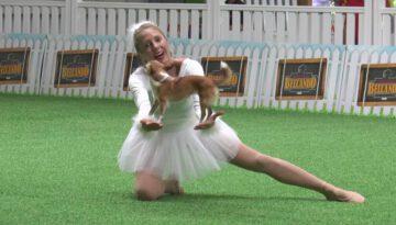 Chihuahua Dances to Swan Lake With a Ballerina