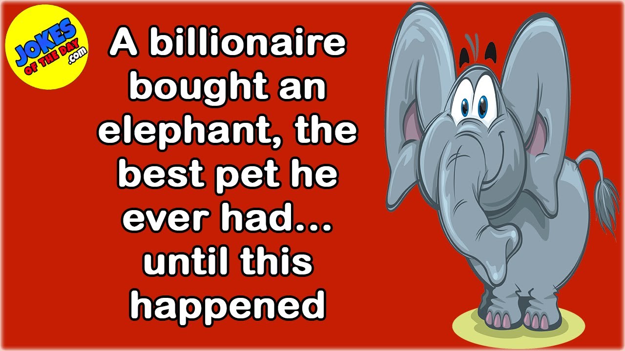 Funny Joke: A Billionaire Bought an Elephant