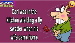 Funny Joke: Husband Swatting Flies