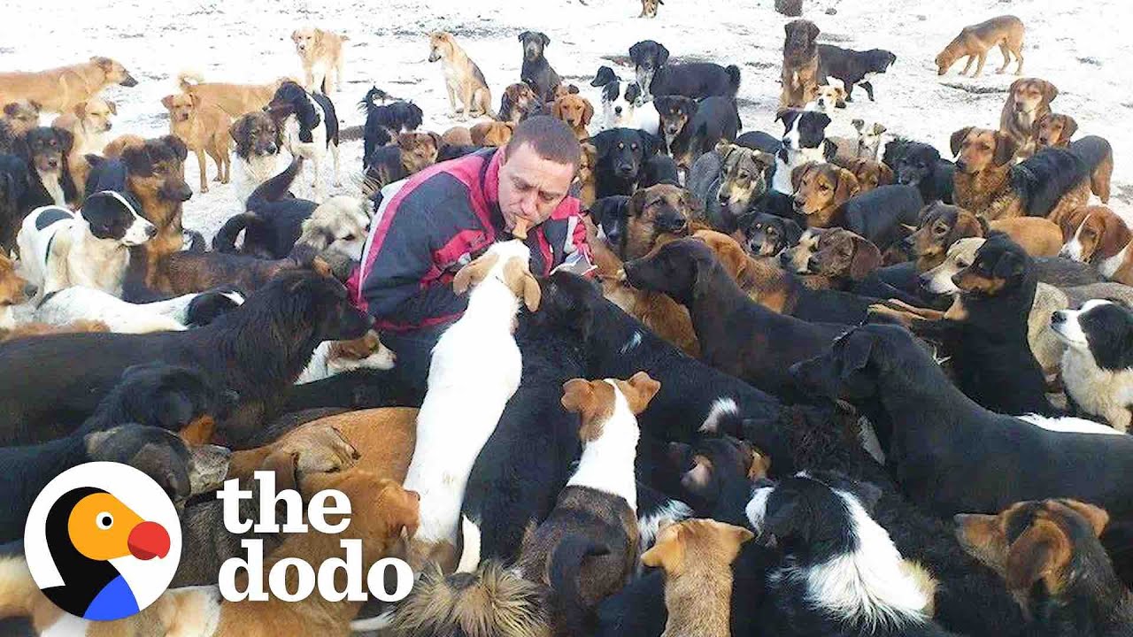 This Man Has Saved Over 1700 Abandoned Dogs