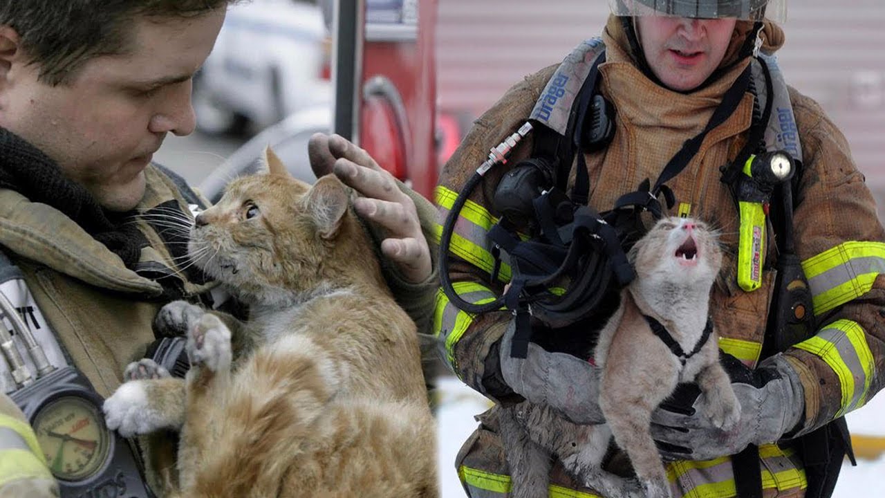 15 Times Humans Rescued Animals And Got Thanked In The Cutest Way