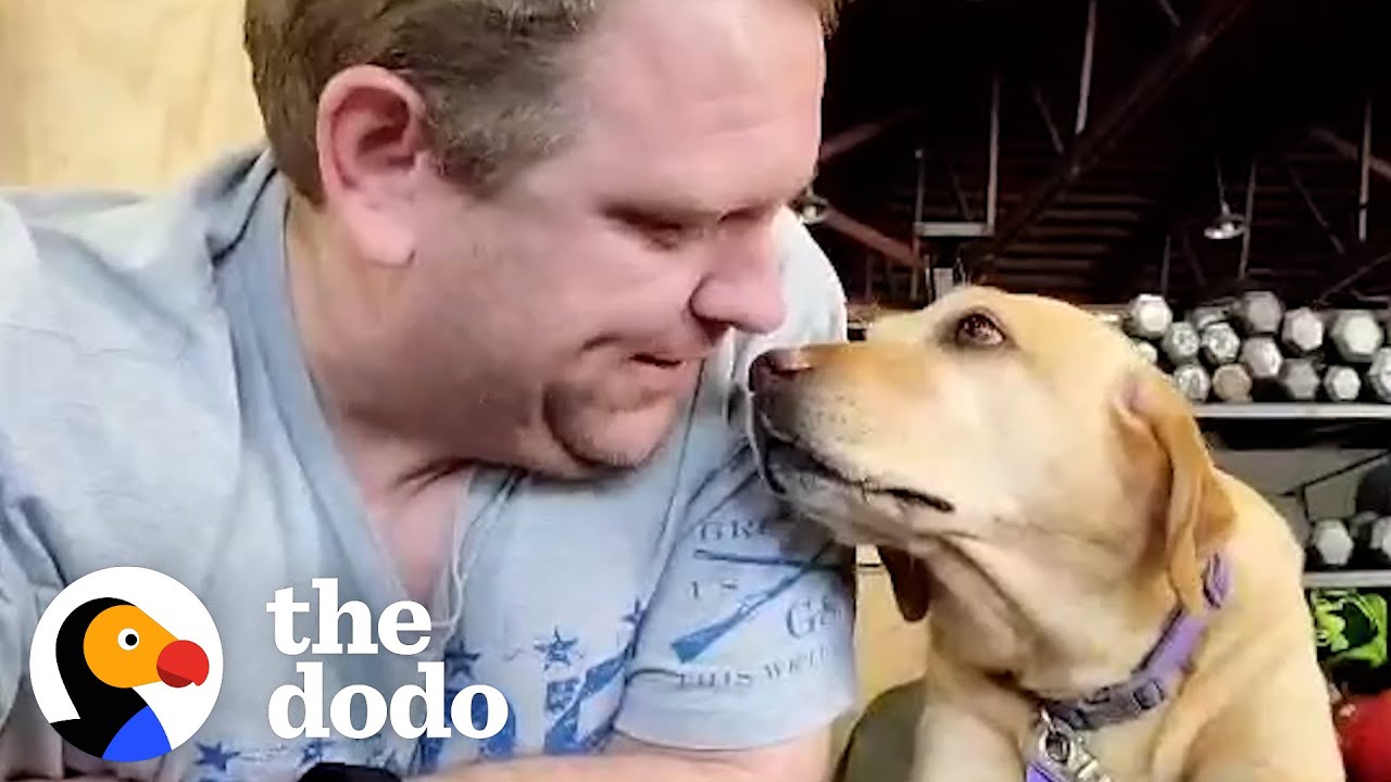 Dog Rescued From Puppy Mill Loves Going To Crossfit With Her Dad