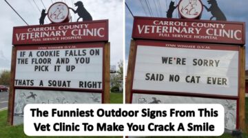 The Funniest Outdoor Signs From This Vet Clinic To Make You Crack A Smile