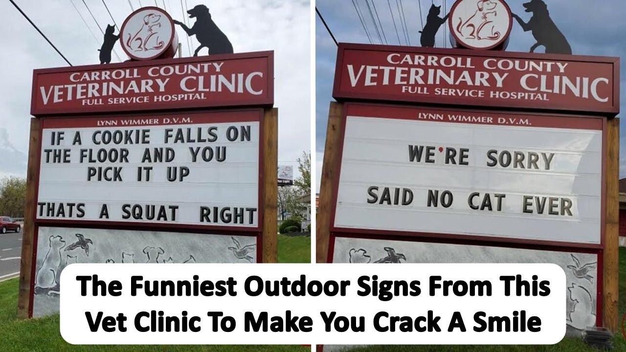 The Funniest Outdoor Signs From This Vet Clinic To Make You Crack A Smile