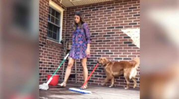 Dog Copies Everything Her Mom Does
