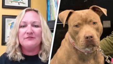 This teacher gave 2nd graders a writing assignment. Then 22 shelter dogs got adopted.