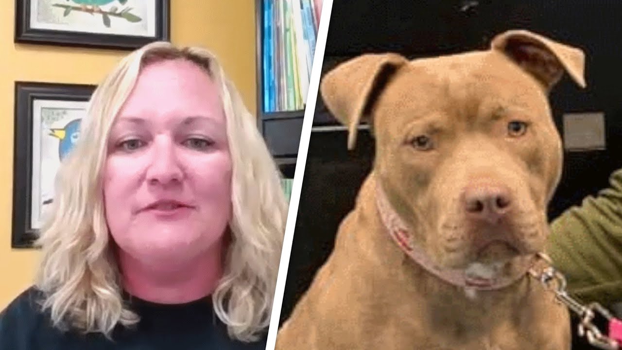 This teacher gave 2nd graders a writing assignment. Then 22 shelter dogs got adopted.