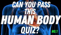 Can You Pass This Human Body Quiz?