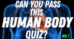 Can You Pass This Human Body Quiz?