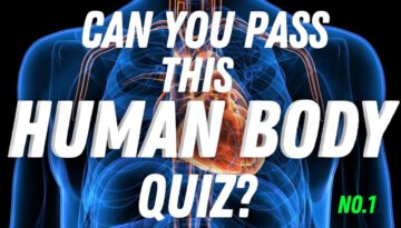 Can You Pass This Human Body Quiz?