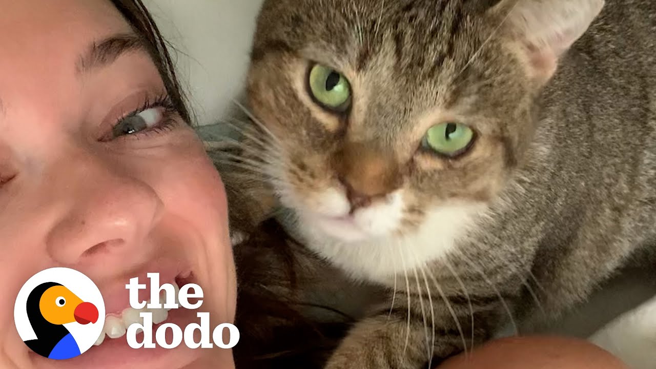 Karen The Feral Cat Demands Snuggles From Her Mom