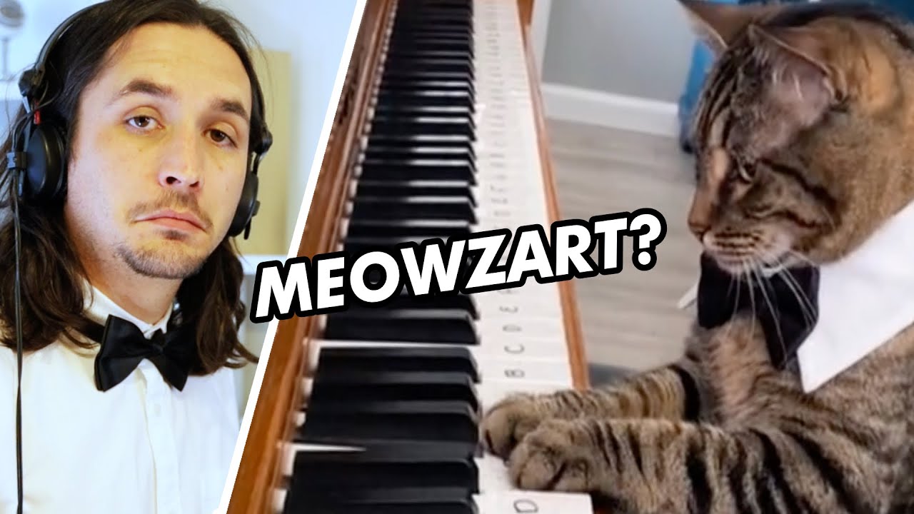 The Kiffness x Mozart Cat – Piano Playing Cat (Remix)