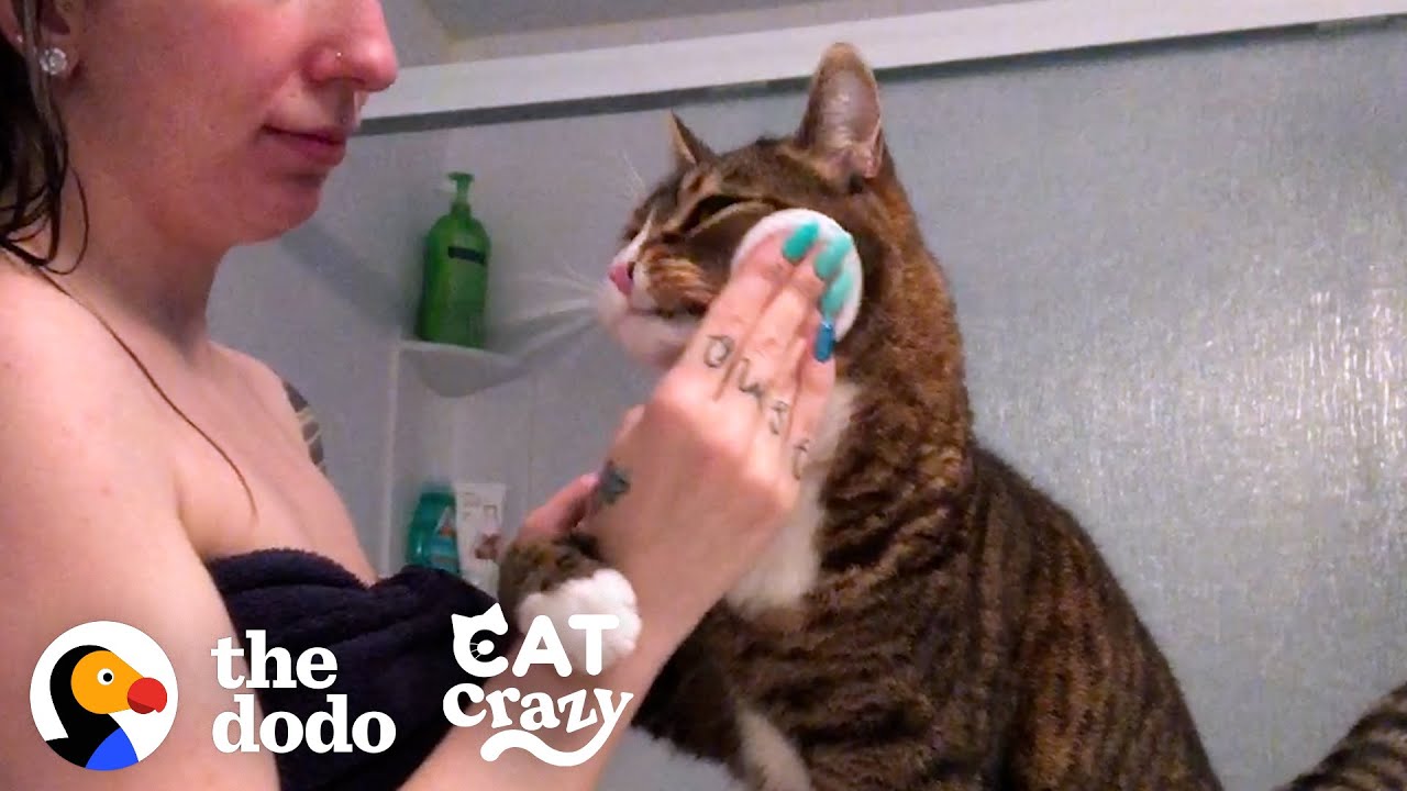 Cat Is VERY Involved In His Mom’s Daily Routine