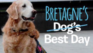 Last 9/11 Search and Rescue Dog Bretagne Comes Back to NYC