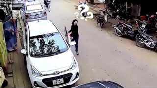 Funny Idiots in Cars #3