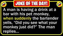 Funny Joke: Bar Monkey