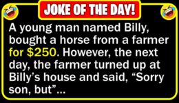 Funny Joke: Dead Horse