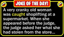 Funny Joke: Shoplifter