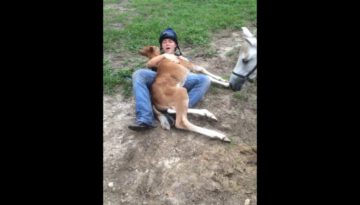 Adorable Baby Horse Tackles Woman for a Hug