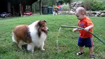 Baby & Dog Playing with Water Hose