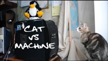 Cats vs. Machines