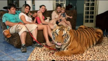 Family Share Home With Pet Tigers