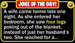 Funny Joke: Angry Wife