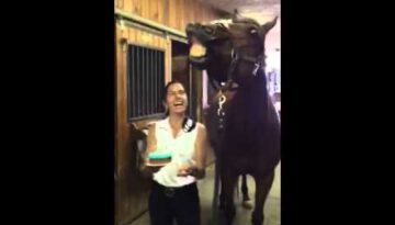 Horse Blows out His Birthday Candles!