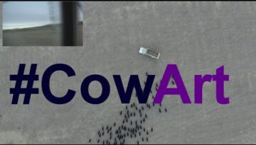 How to Make CowArt with a Drone and Feed Truck