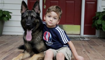 Loyal German Shepherd Helps Family with the Chores