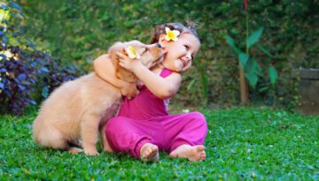 Puppies and Babies Playing Together