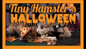 Tiny Hamster’s Halloween