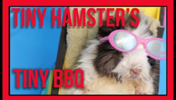 Tiny Hamster’s Tiny BBQ