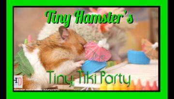 Tiny Hamster’s Tiny Tiki Party