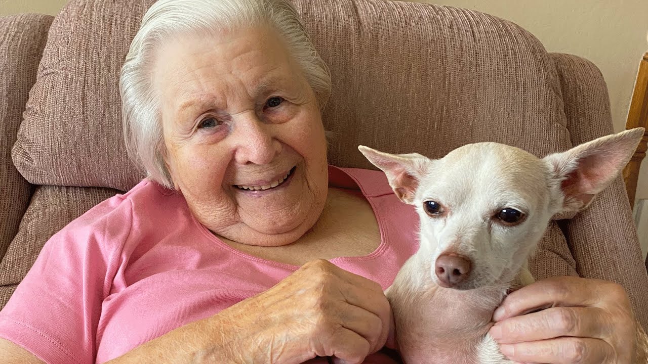 100-year-old woman adopts a senior dog. Now they are inseparable.