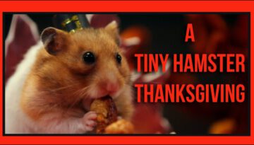A Tiny Hamster Thanksgiving