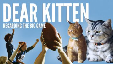 Dear Kitten: Regarding the Big Game