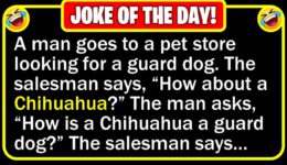 Funny Joke: Guard Dog
