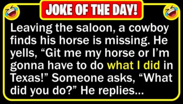 Funny Joke: Missing Horse