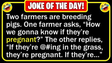 Funny Joke: Pig Breeding