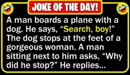 Funny Joke: Search Dog