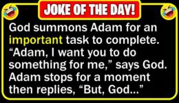 Funny Joke: Task for Adam