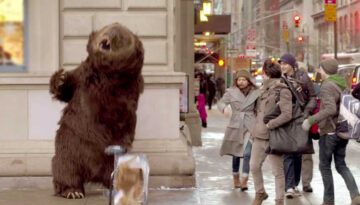 Hungry Bear Loose in NYC