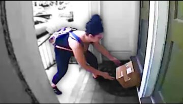 Package Thief Falls for the Trap