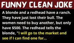 Funny Joke: A Blonde & a Redhead Needs to Buy a Bull
